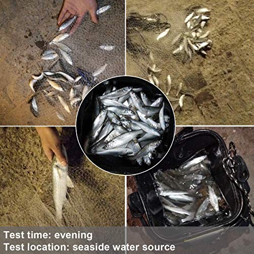 3 8 Saltwater Fishing Cast Net for Bait Trap with Heavy Lead Sinkers Fish Throw Net. Size 3ft (10FT (300cm) Radius / Lead Sinkers-3/8mesh-0.3mm Mono)