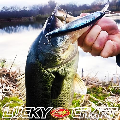 Slender Pointer 112 MR Fishing Lure (583 Ghost Minnow Sakura)