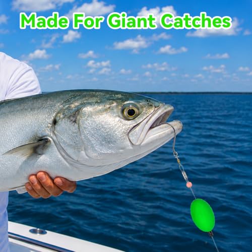 Fish Finder Rig with Float