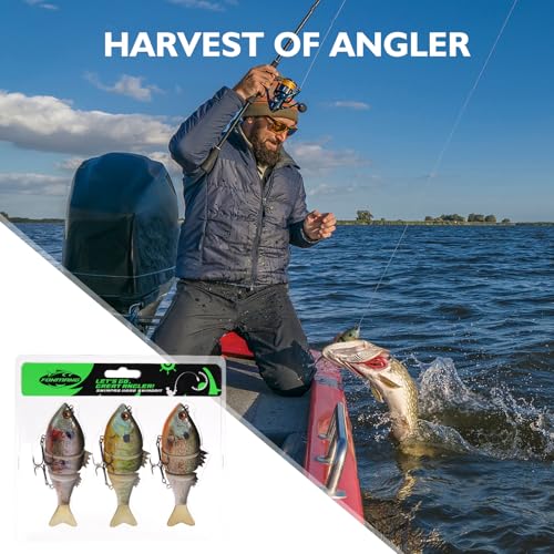 3 Pieces Swimbait Fishing Lures (G)
