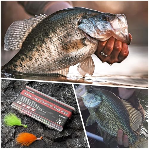 Crappie Hair Jigs (1/32oz-20pcs)