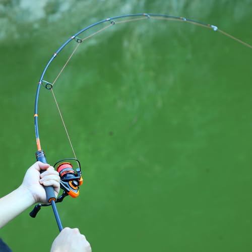 IM6 Graphite Fishing Rod (Spin / 6ft)