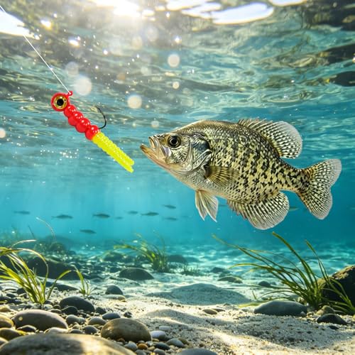 100PCS Crappie Lures Kit