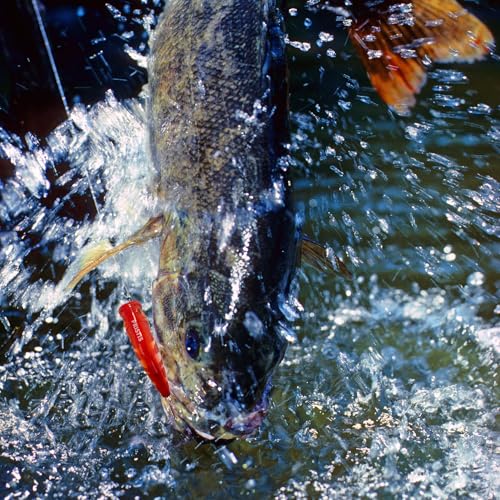 3 pcs Topwater Popper Fishing Lures (Artistic Topwater Poppers)