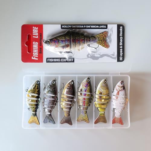 6PCS Fishing Lures for Freshwater and Saltwater with case (B)