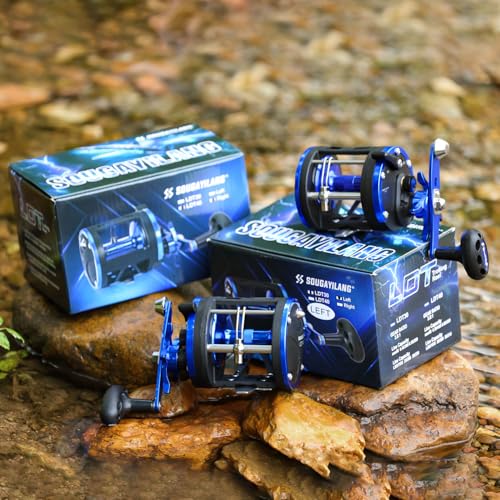 Trolling Reel & Conventional Fishing Reel (LDT40- Left Handed)