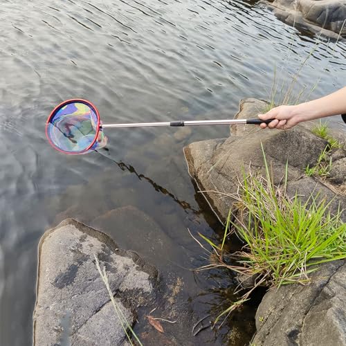 FishingNet2PieceSetRetractableNet forCatchingFrogs andTadpoles (Pink / 37)