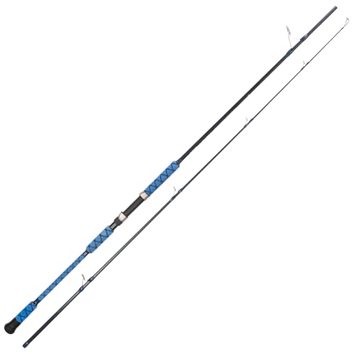 Surf Fishing Rod Carbon Surf Spinning Fishing Rod with Fuji Guide