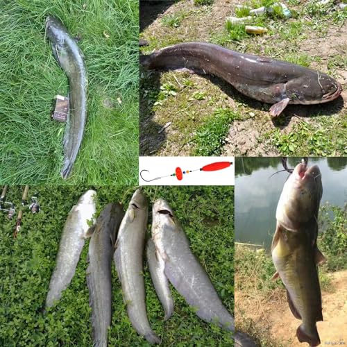 Catfish Rig Catfishing Tackle Floats 6PCS