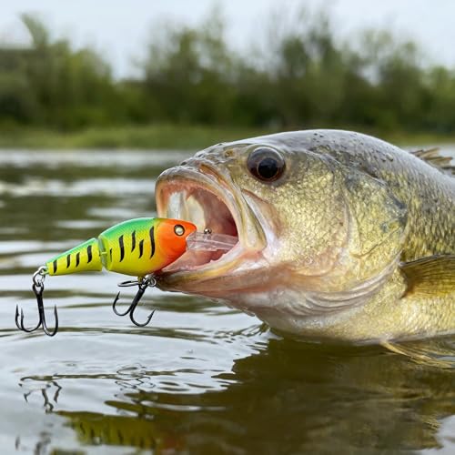 Walleye Fishing Lures (Multi-color)
