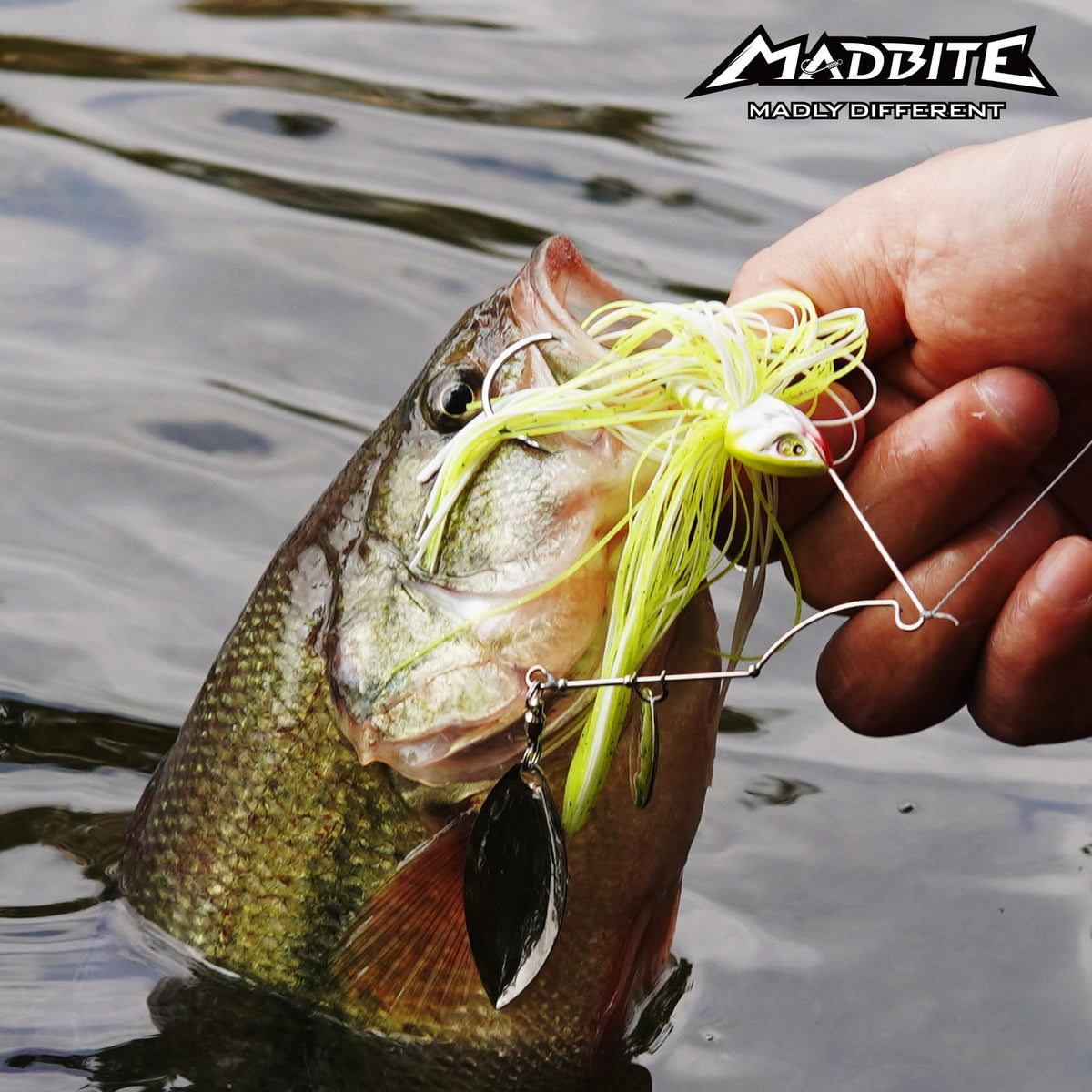 by KastKing Spinnerbait Fishing Lures (Clear Water - Colorado & Willow / 1/2oz)