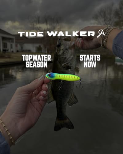 Topwater Co Tide Walker Jr Walking Topwater Fishing Lure (Marsh Mahi Jr)
