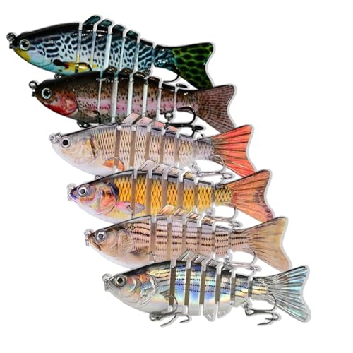 6PCS Fishing Lures for Freshwater and Saltwater with case