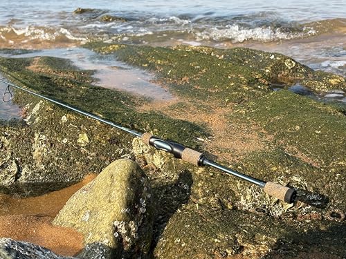 Rezil Ultralight Freshwater & Light Saltwater Trout Fishing Spinning Rod