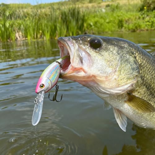 Walleye Fishing Lures (silver)