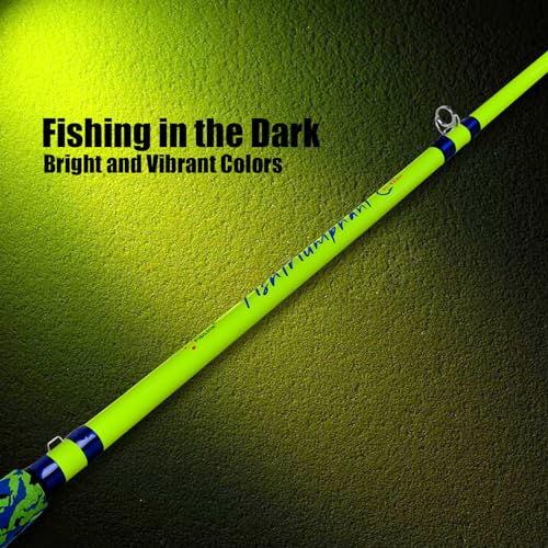 Catfish Fishing Rods