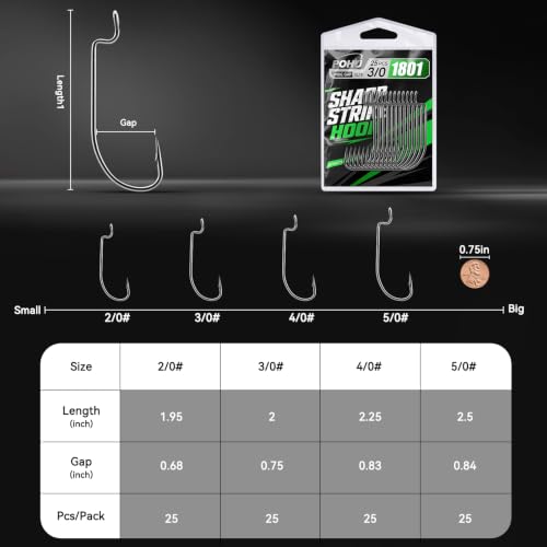 Offset Worm Hooks for Bass Fishing Hooks (Black Nickel / 2/0#_25pcs)