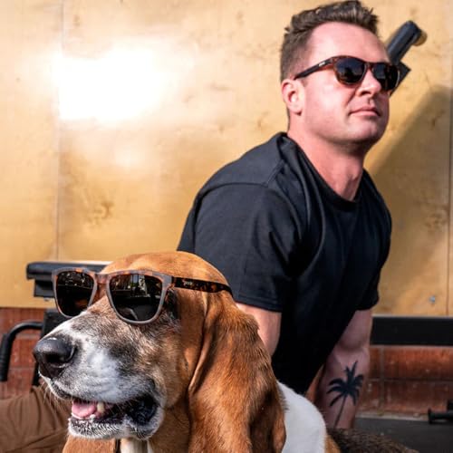 Bosley's Basset Hound Dreams Polarized Sunglasses