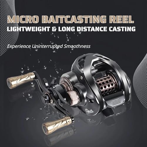 Baitcasting Fishing Reel