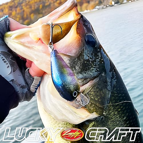 Fat CB BDS2 Fishing Lure (184 Sexy Chartreuse Pearch)