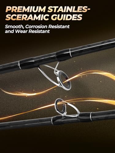 12Ft Spinning Fishing Rod (12'0"-Heavy-Fast-Black)