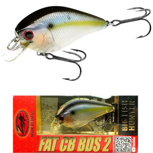 Fat CB BDS2 Fishing Lure (186 Ghost Threadfin Shad)