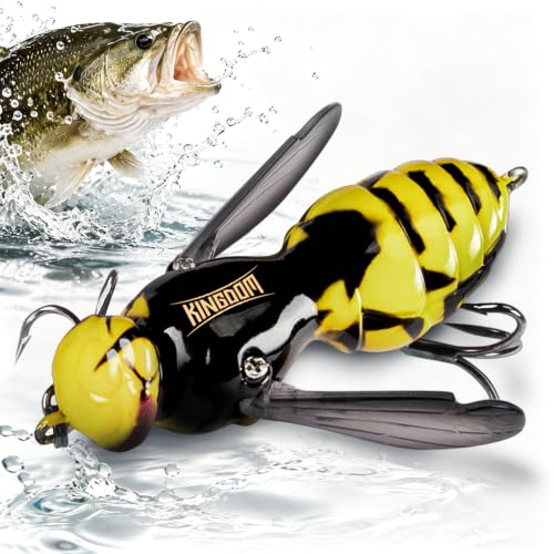 Wasp Lure Topwater Popper & Crankbait with Carban Steel Three Book Hook (06 / 1.89in/0.23oz)