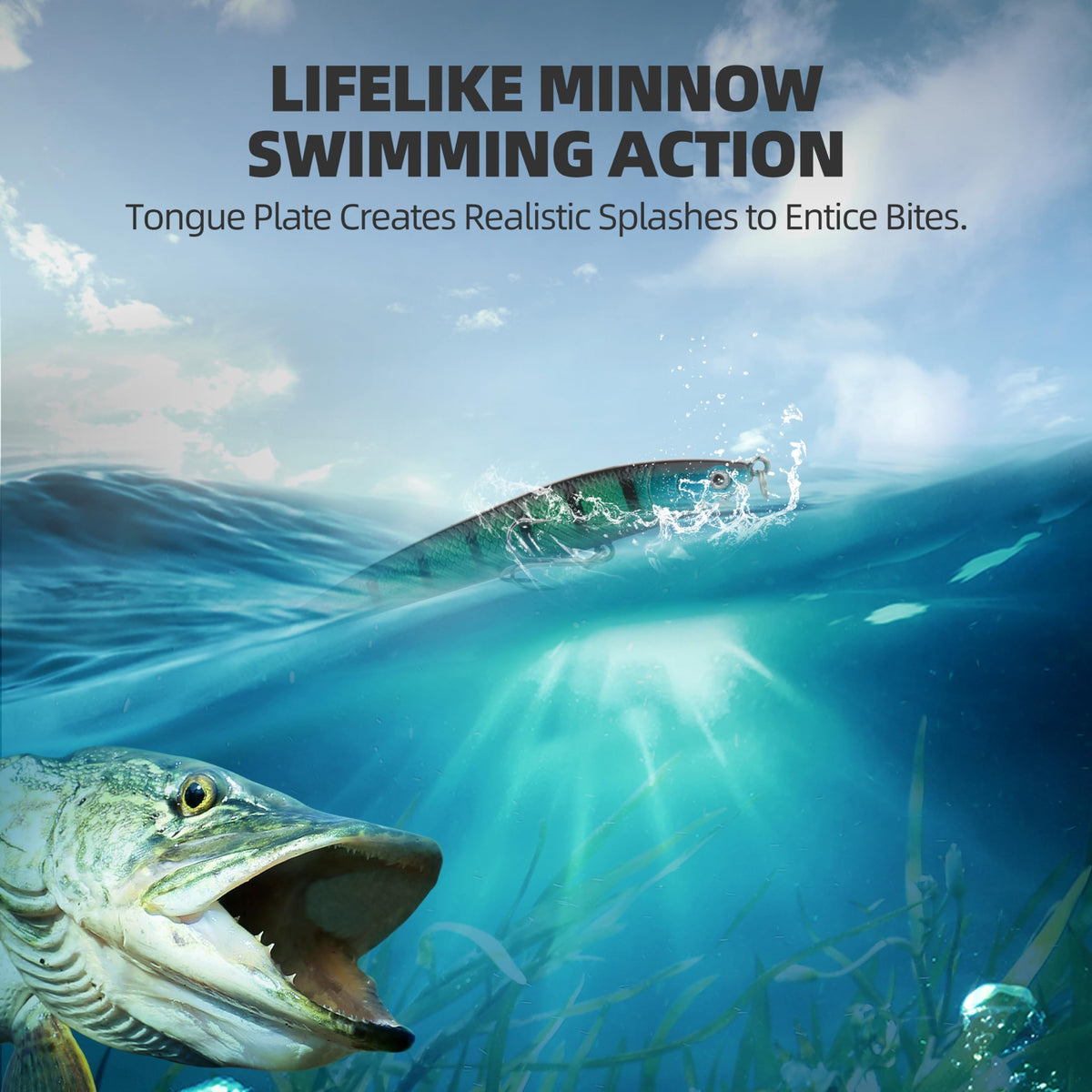 10 5PCS Minnow Fishing Lures Set (3 3/4 ′′, 1/4 oz)
