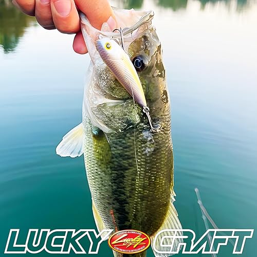 Pond Bass Premium Box (Pond Bass Fishing)