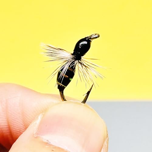 10Pc Hand Tied Fly Flies Fly Fishing Lure (Black)