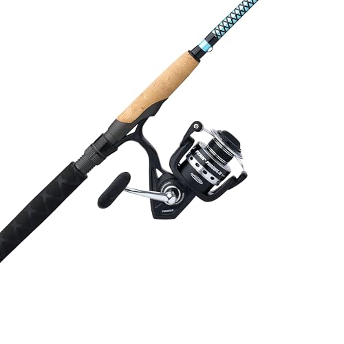 Carbon Inshore Rod & Penn Pursuit IV Spinning Fishing Combo