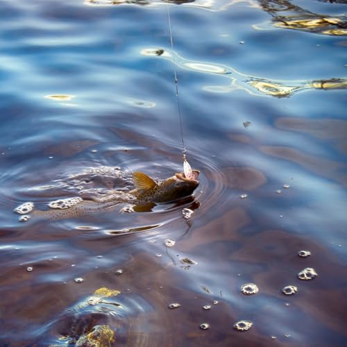 Fishing Wire Leader Line