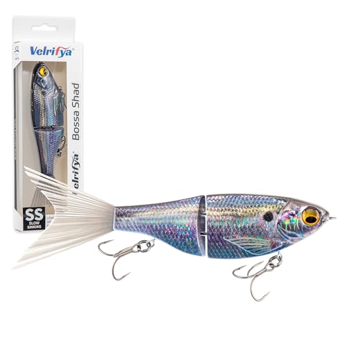 Bossa Shad Glide Bait for Bass Fishing (06-Iridescent Real)
