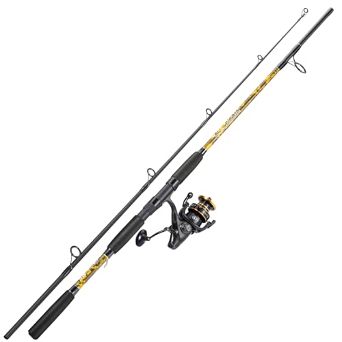 Spinning Rod Combo