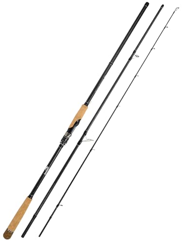 10Ft Spinning Fishing Rod (10'0"-Heavy-Fast-Black)