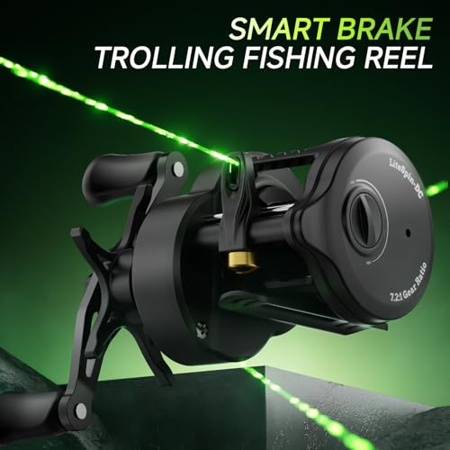 DC Baitcaster Reel