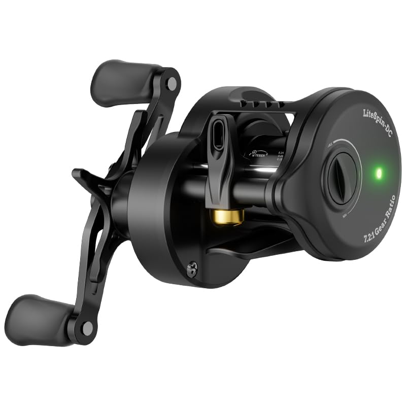 DC Baitcaster Reel (LS(DC) / Right)