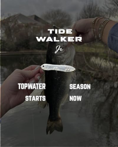 Topwater Co Tide Walker Jr Walking Topwater Fishing Lure (Glass Minnow Jr)