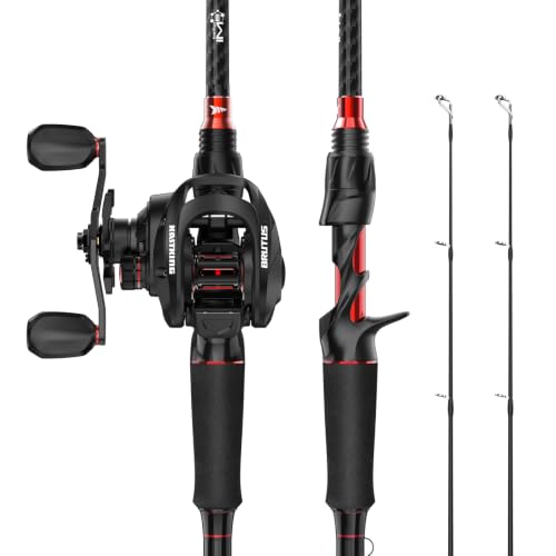 Brutus Twin Tip Baitcaster Combo (Left Handed Reel,6'6" M(2 Pcs + Extra Tip))