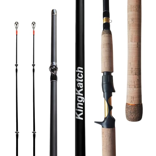 7’ Casting Fishing Rod with 2 Tips (A-JHJSQB-7'0")