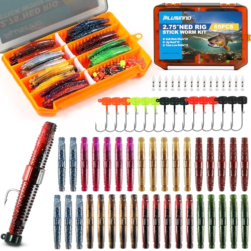 Wacky Worm Fishing Lure Kit