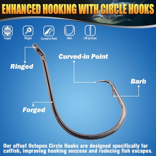Catfish Hook Set Offset Octopus Circle & Baitholder Hooks 100