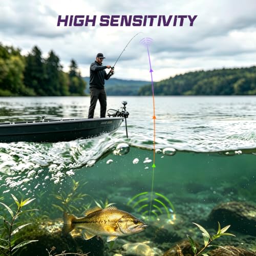 Aura Braided Fishing Line (Rainbow / 20LB(300YDS))
