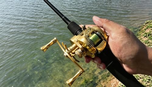 BFS Reel Ultralight Baitcasting Reel for Bass Trout