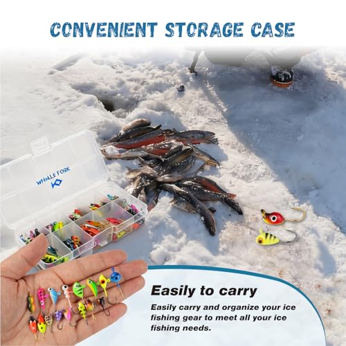 Master Ice Fishing Jigs Kit (D-100PCS)