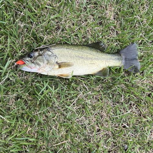 Crankbait Fishing Lures (E2(1.1in 0.07oz))