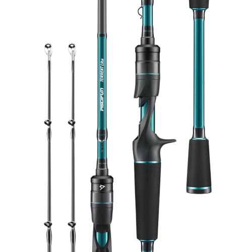 Torrent Lite Fishing Rod
