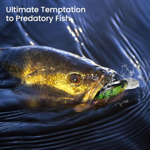 3 pcs Crankbait (3 pcs Crankbaits Set)