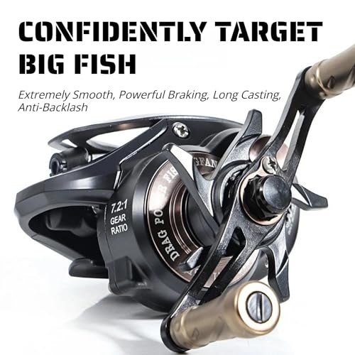 Baitcasting Fishing Reel