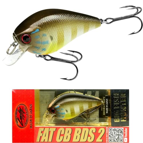 Fat CB BDS2 Fishing Lure